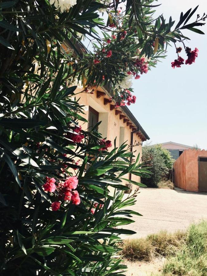Agriturismo Funtan'Arva Loculi Exteriér fotografie